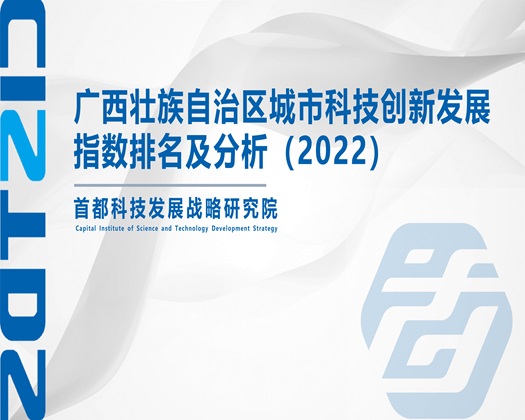 尻逼视频aaaa【成果发布】广西壮族自治区城市科技创新发展指数排名及分析（2022）